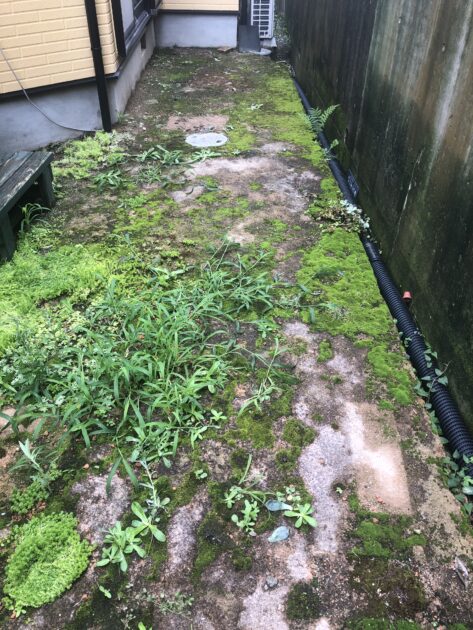 【実体験】庭の地面に「固まる土」を使ってみた。DIYにかかった費用やその後の様子を徹底解説